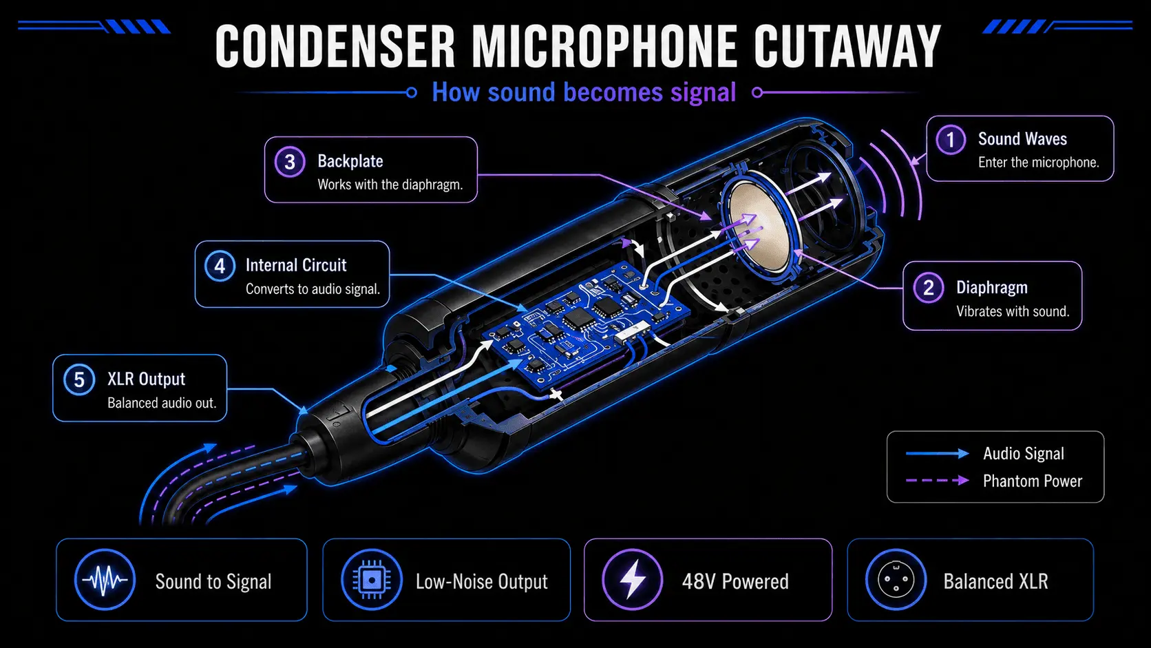 Cutaway diagram of a condenser microphone showing diaphragm, backplate, impedance conversion circuit, phantom power supply, and audio signal output.